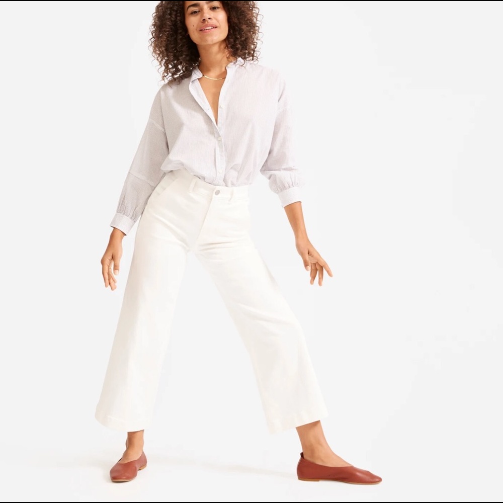 Everlane Sandstone Wide Leg crop pants